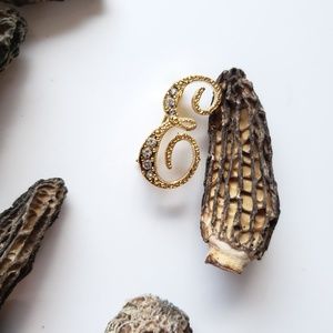 Letter E Golden Rhinestone Initial Pin